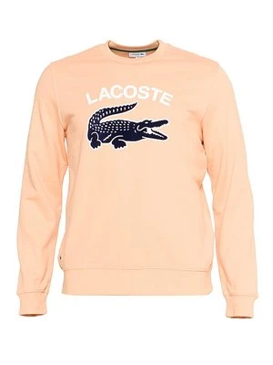 Bluza Lacoste