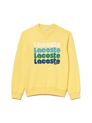 Bluza Lacoste