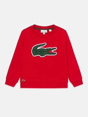Bluza Lacoste