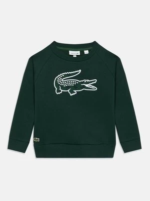 Bluza Lacoste