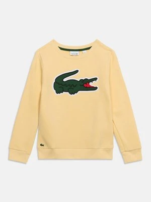 Bluza Lacoste