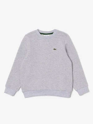 Bluza Lacoste jasnoszary