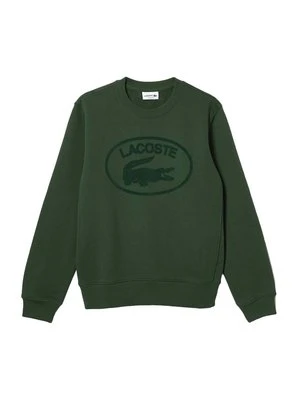 Zdjęcie produktu Bluza lacoste live
