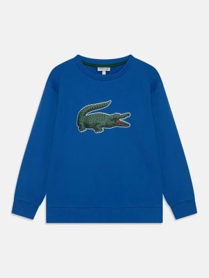 Bluza Lacoste niebieski