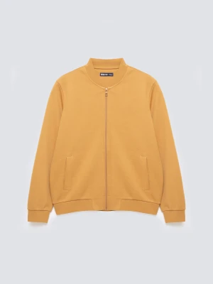 Bluza męska bomber jasnobrązowa Wladorb 803 BIG STAR