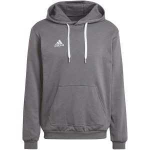 Zdjęcie produktu Bluza męska Entrada 22 Hoodie Adidas