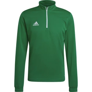 Bluza męska Entrada 22 Training Top Adidas