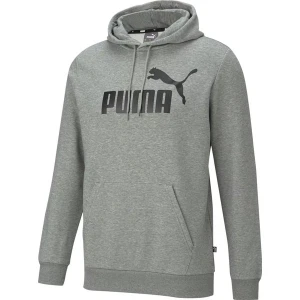 Bluza męska Essentials Big Logo Hooded Puma