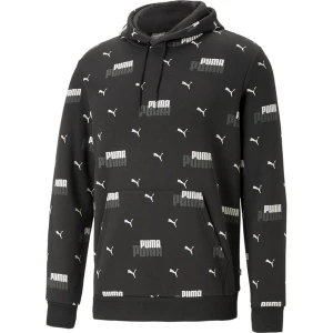 Bluza męska Essentials+ Logo Power Puma