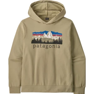 Bluza męska Fitz Roy Foothills Daily Hoody Patagonia Zielony