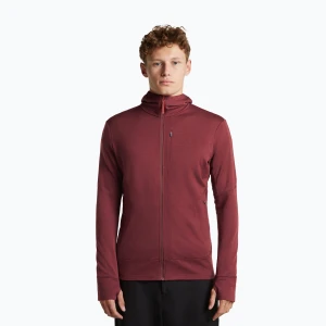 Bluza męska Icebreaker Merino 260 Quantum IV LS Zip Hoodie port / agate Bordowy