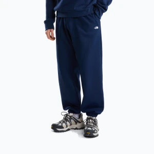 Bluza męska The North Face Evolution Simple Dome Regular Hoodie summit navy Granatowy