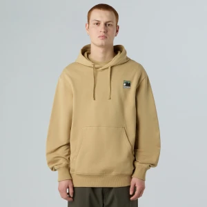 Bluza męska The North Face Mountain Logo Relaxed Hooded khaki stone