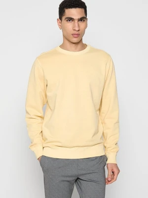Bluza Mexx żółty
