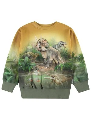 Bluza Molo