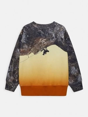 Bluza Molo