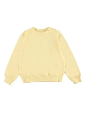 Bluza Molo