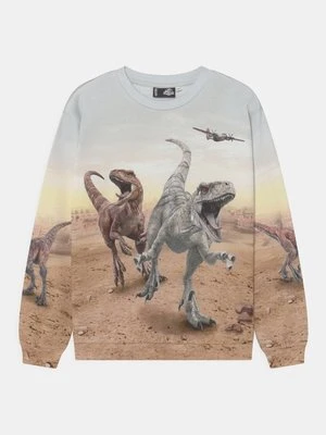 Bluza Molo