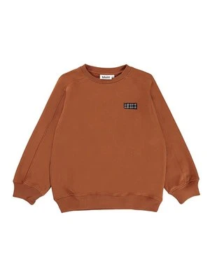 Bluza Molo