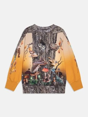 Bluza Molo