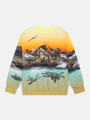 Bluza Molo