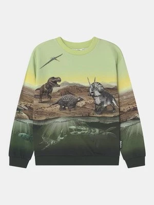 Bluza Molo