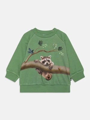 Bluza Molo zielony