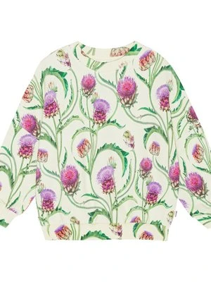Bluza Molo