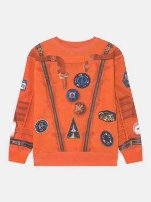 Bluza Molo