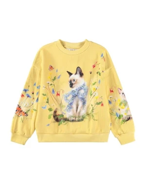 Bluza Molo jasnożółty