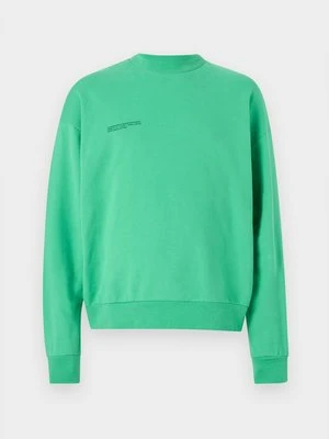 Bluza PANGAIA zielony