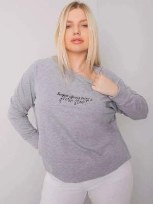 Bluza plus size szary casual bez kaptura wkładane przez głowę dekolt okrągły rękaw długi Relevance