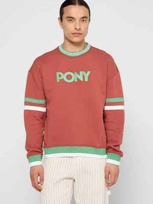 Bluza Pony brązowy
