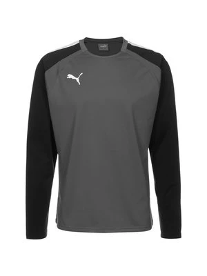 Bluzka z długim rękawem Puma ciemnoszary