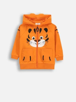 Bluza rozpinana COCCODRILLO