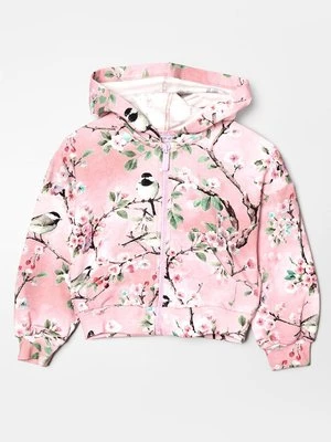 Bluza rozpinana Monnalisa