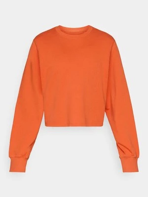 Bluza Stronger