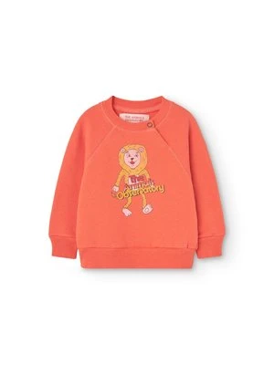 Bluza THE ANIMALS OBSERVATORY