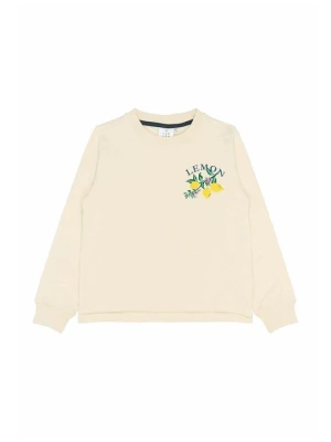 Bluza The NEW beżowy