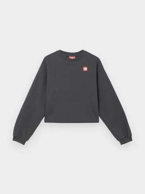 Zdjęcie produktu Bluza The North Face