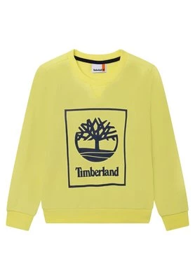 Bluza Timberland