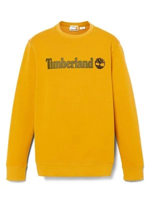 Bluza Timberland