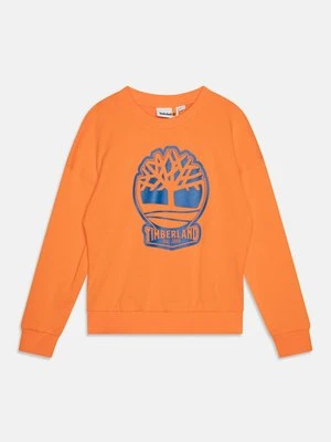 Bluza Timberland