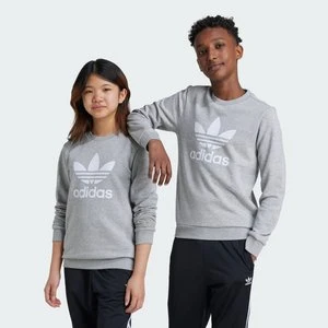 Bluza Trefoil Crew Kids Adidas