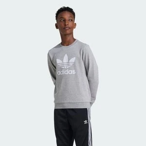 Bluza Trefoil Crew Kids Adidas