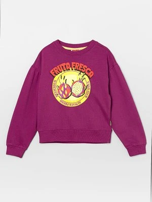 Bluza VINGINO