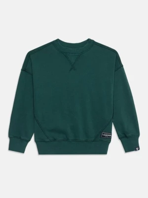 Bluza VINGINO zielony