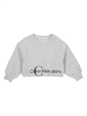 Calvin Klein Bluza w kolorze szarym rozmiar: 128
