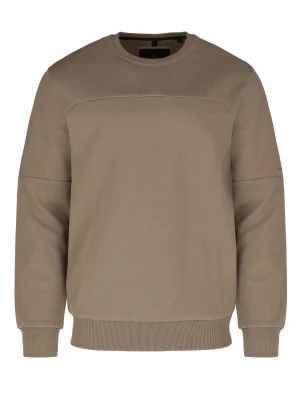 Bluza w stylu basic B-BARK Volcano Beżowy