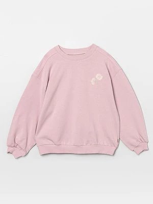 Bluza Wheat